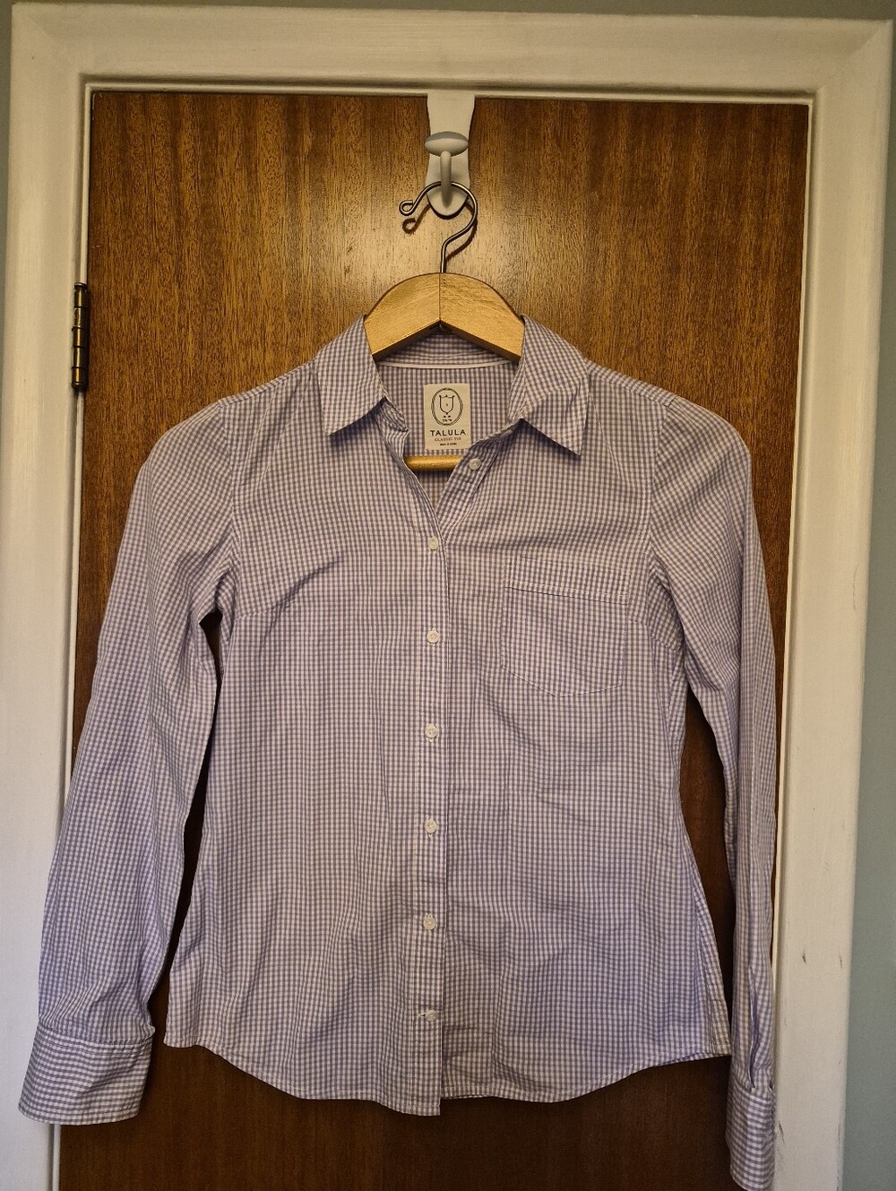 Aritzia Talula Classic Fit Oxford Shirt